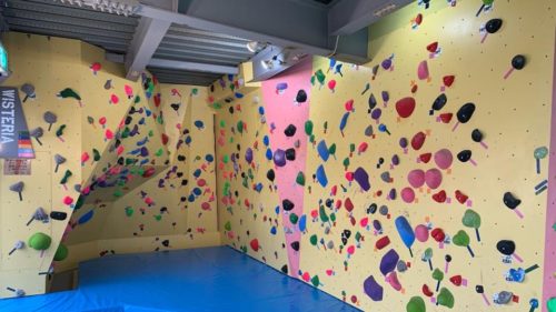 クライミング Wisteria（ウィステリア）